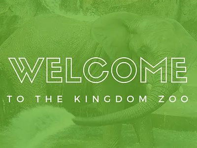 Welcome to the Kingdom Zoo - Responsive Web Design brand design branding branding agency branding design deck design interactive design marketing campaign minimal