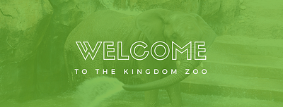 Welcome to the Kingdom Zoo - Responsive Web Design brand design branding branding agency branding design deck design interactive design marketing campaign minimal