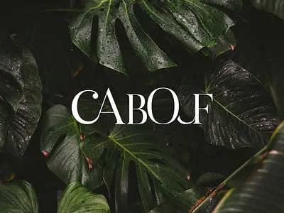 Logo Cabouf branding design flat illustration logo logo design typography vector