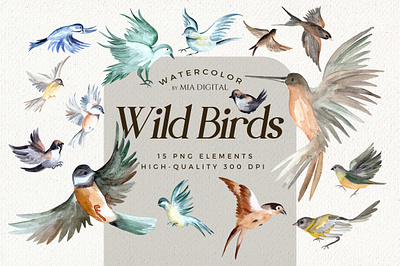 Watercolor Birds Clipart Set animal clipart animal painting art artwork bird bird art print bird illustration bird painting hummingbird png illustration nursery art print painting watercolor bird clipart watercolor bird set watercolor canary watercolor dove watercolor flowerpecker watercolor sparrow watercolor swallow wedding birds