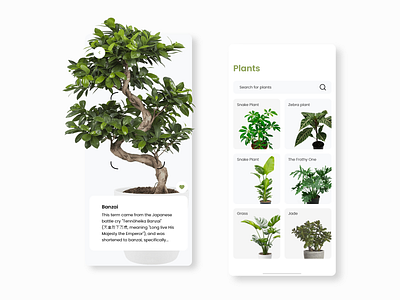 Plants app 🌱 app description design plants plants app plantshop ui ux