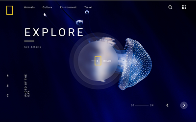 NAT GEO Website Page animation app branding design icon illustration logo typography ui soft ui first design uidesign ux