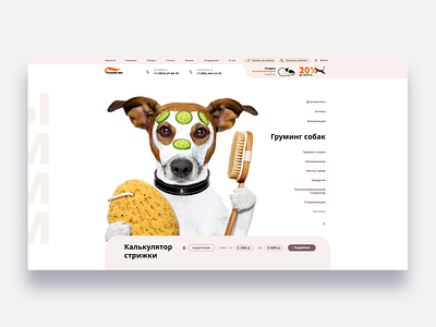 Web service for VETERINARY CLINIC branding clean creative design minimal popular ui ux web website