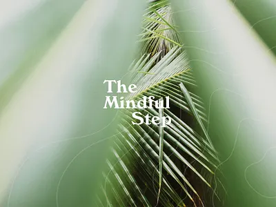 The Mindful Step branding branding and identity design identity logo logo design logos logotype minimalistic modern stationery sustainability typography vector