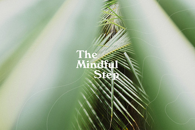 The Mindful Step branding branding and identity design identity logo logo design logos logotype minimalistic modern stationery sustainability typography vector