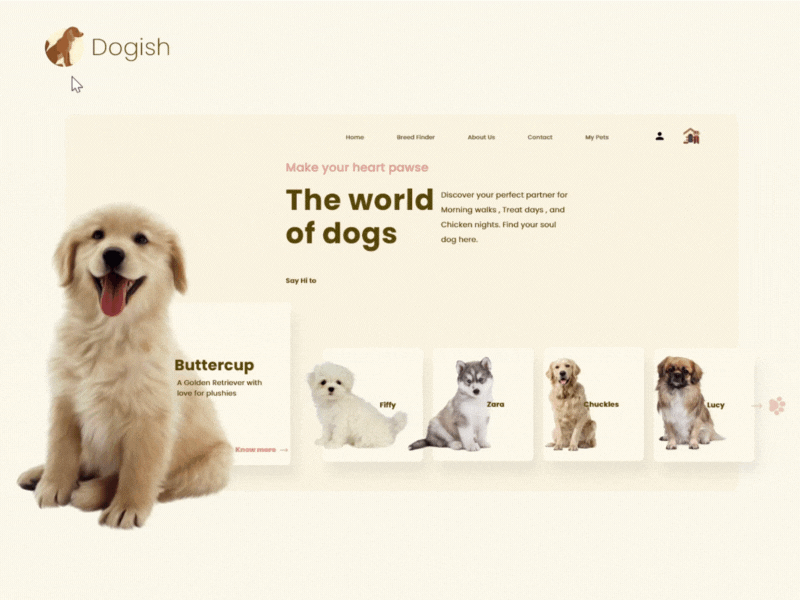 Dogish design illustration ui ux web