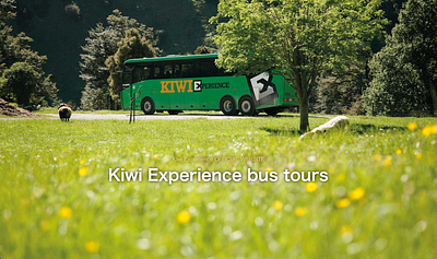 kiwiexperience.com cms frontend web design