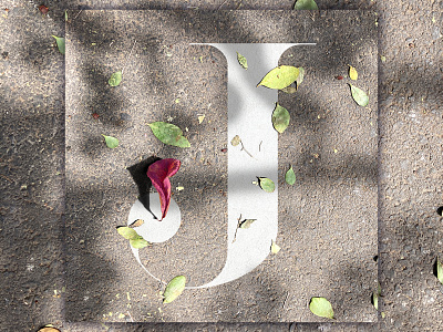 J - 36 Days of Type 36daysoftype adobe alphabet design flower graphic design illustrator leaf mexico photography photoshop plants street textures type typedesign typography