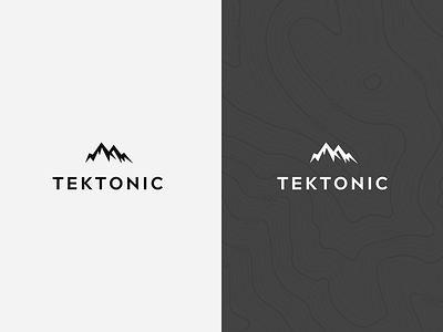 Tektonic // Logo + Identity branding design identity logo