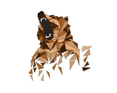 Bear bear drawing grizzly bear illustration vector illustration