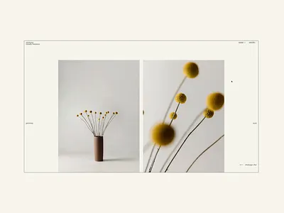 Luxury Website Design brand identity branddesign branding branding design corporate identity design graphic design high end landing page luxury minimal modern simple ui visual identity web web design website website design website layout