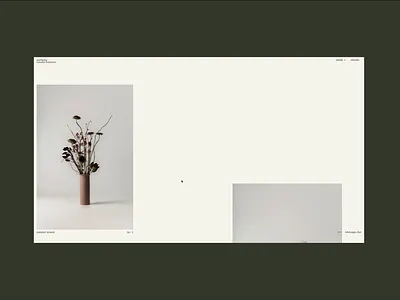 Minimal Luxury Website Design brand identity branding clean design graphic design high end landing page luxury minimal modern simple ui web design web page website