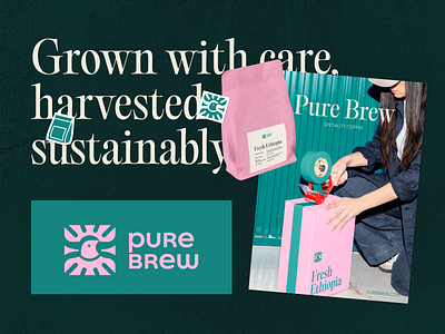 Visual identity for PureBrew☕️ brand identity brand illustration branding coffee coffee label design coffee packaging graphic design green illustration illustration minimalist design nature product design speciality coffee vector visual identity