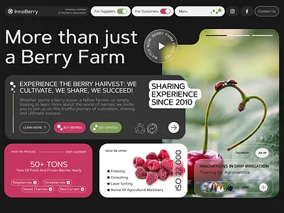 Berry Farm Website Design agriculture platform berry business digital transformation eco friendly design ecommerce ui farm management farm website food industry fresh produce marketplace modern web organic farming platform product showcase responsive layout supplier portal user experience ux design ux ui design website