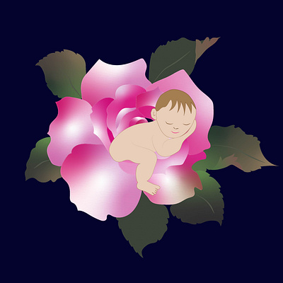 Newborn baby illustration baby creativity girl illustration newborn rose