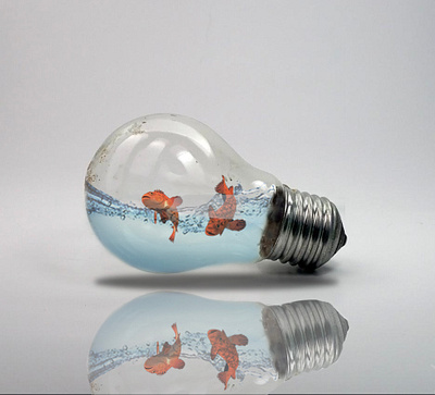 Fish inside the bulb design photoshop