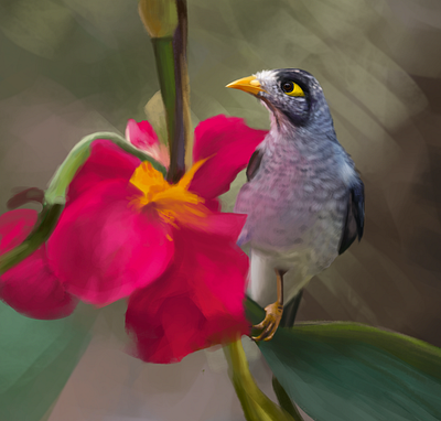 Digital painting bird digital painting digitalart photoshop