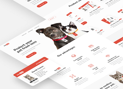 PetIcard service branding clean clean ui design minimal minimalism pet pets ui uiux webdesign website
