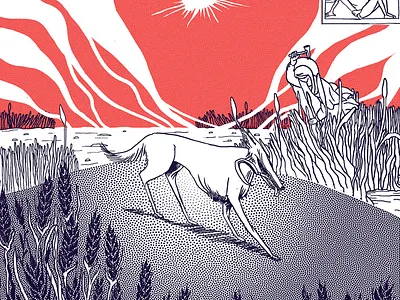 Dog Days detail design graphic graphic design illustration