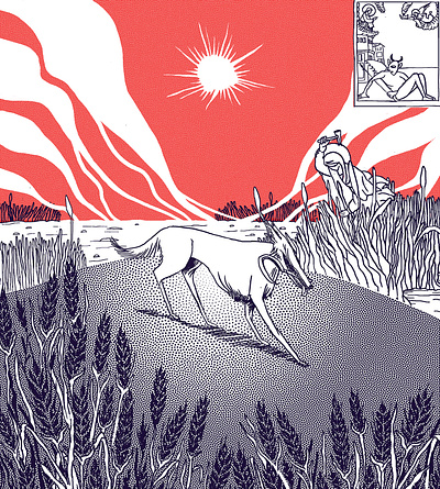 Dog Days detail design graphic graphic design illustration