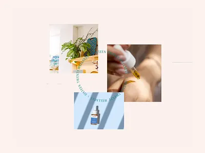 Sixteen Twenty: Packaging animation brand identity system branding cbd packaging design graphic design illustration logo packaging packaging design product design skincare packaging typography web design wellness