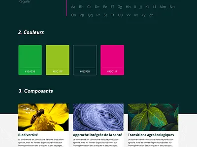 Cirad - UI/UX
