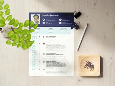 Curriculum Vitae cv cv design cv resume template