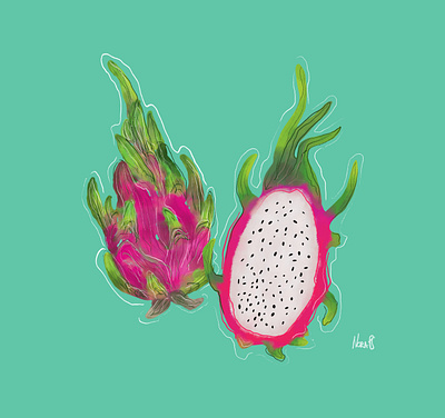 Pitaya digital watercolor illustration colorful exotic exotic fruit fresco fresco illustration fruit fruit illustration happy pitaya