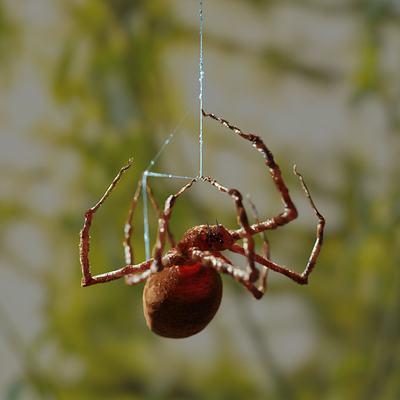 Spooder 3d animation 3d art art blend blender3d blendercycles digitalart