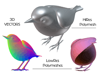 Hi Low Res 3D Vectors 3