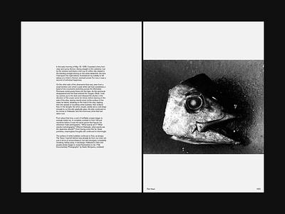 Daido Moriyama book layout design design graphic graphicdesign minimalist