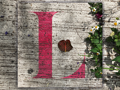 L - 36 Days of Type 36daysoftype adobe alphabet design graphic design photography photoshop street typedesign typography