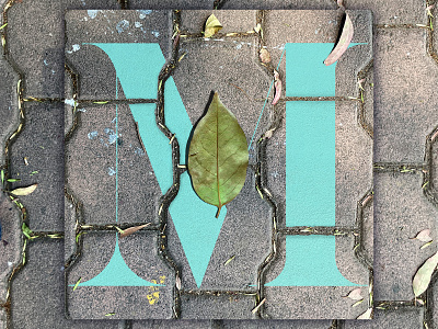 M - 36 Days of Type 36daysoftype alphabet design graphic design illustrator photography photoshop street typedesign typography