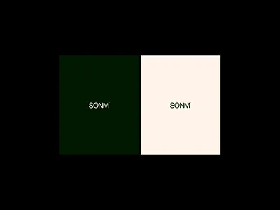 SONM branding identity branding dailychallenge design graphic graphicdesign
