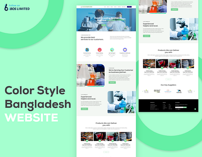 Color Style Bangladesh Website Design design landing page ui ui design ux web