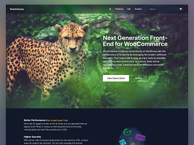 WooGridsome cheetah darkmode design ecommerce glass glass effect gridsome header hero image illustration landing page nature nav photography shop transparent website woocomerce