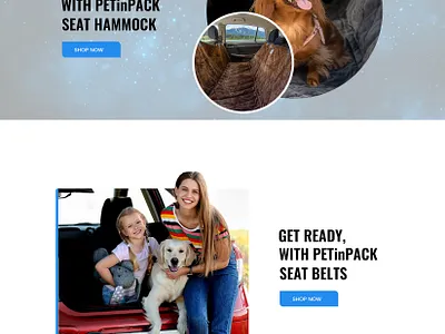 Pet In Pack Design graphic design ui website