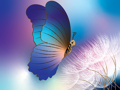 Butterflies butterflies colors design flowers illustration