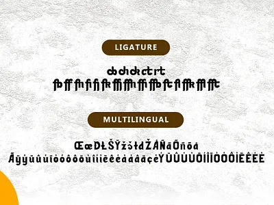 Qichen - Sans Serif Font branding design font font awesome font design font family fonts food illustration kitchen kitchen design kitchen logo kitchens kitchenware logo restaurant typography