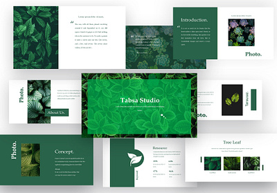 Beauty Of Nature microsoft powerpoint powerpoint design powerpoint presentation powerpoint template ppt template presentation presentation design presentation layout presentation template slide design