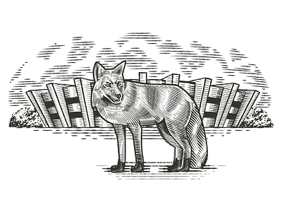 Fox engraving engraved engraving flat ink label linocut pen shapes vector vintage woodcut