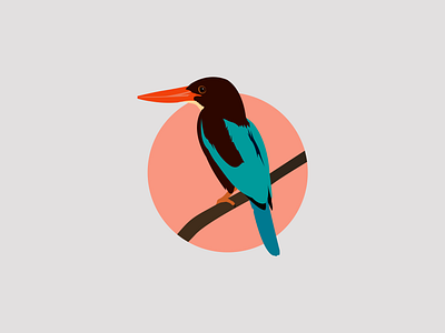 KingFisher flat illustration illustrator minimal vector