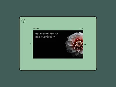 072 #DailyUI Image Slider dailyui dailyui072 dailyuichallenge design digitaldesign floral flowers gardening graphicdesign green image slider slider ui ui design uiux