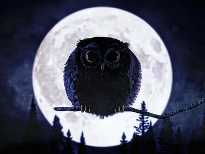 O is for Owl 36days 36daysoftype 3d 3d art c4d cgi cinema4d cinema4dart cute cute animal illustration nft nftart owl redshift redshift3d render type art type design typography
