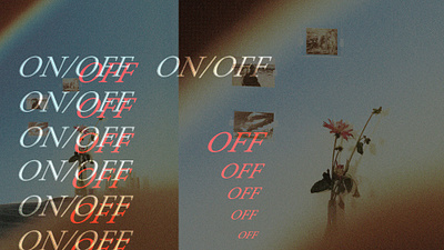 Calm The Noise (During (In a Pandemic)) concept art graphic graphic design photography typogaphy webdesign website