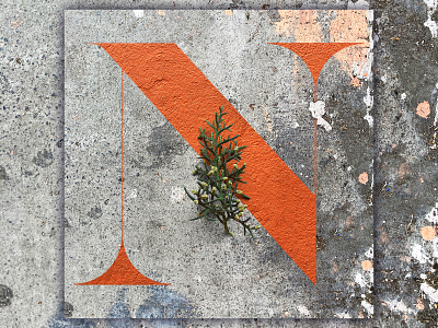 N - 36 Days of Type 36daysoftype alphabet design graphic design illustrator photography photoshop type typedesign typography