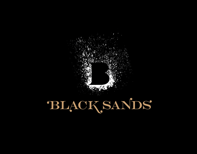 Black Sands Wine branding branding and identity branding design icon logo wine