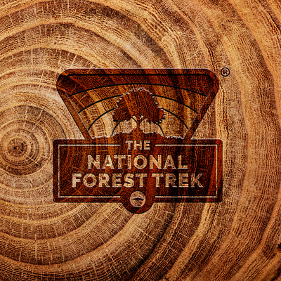 National Forest Trek brand forest illustrator logo