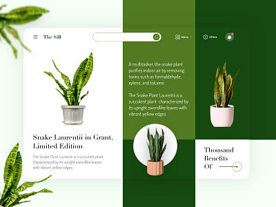 Online Home Plant UI app design app interaction clean design home plant house house plant mobile application plant plants ui ui design uiux ux ux design website website design websites