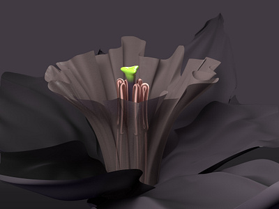 Narcissus flower study c4d cinema4d corona render